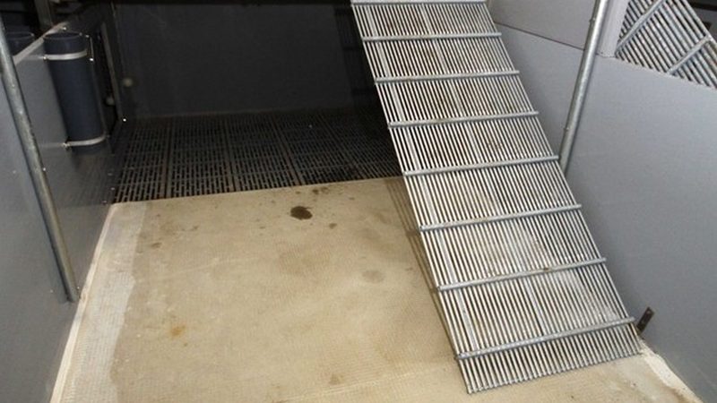 外贸独立站搭建：平台排名背后的策略与技巧