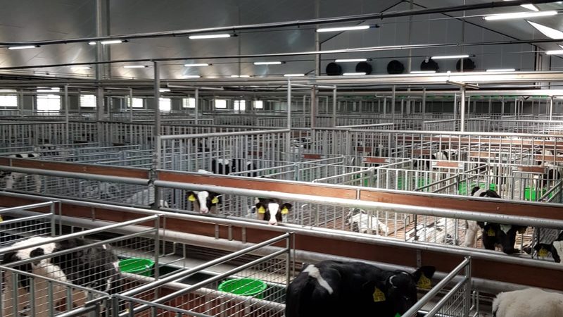 以下为几个成功申报电商孵化项目的企业案例，供参考：